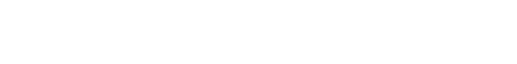 SMARTWERK Logo